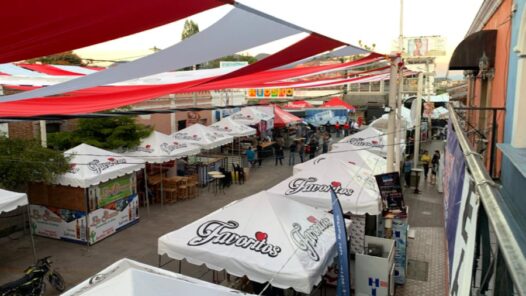 Callejón de la Alegría del Carnaval Autlán 2020 (Foto: Israel Aguilar).