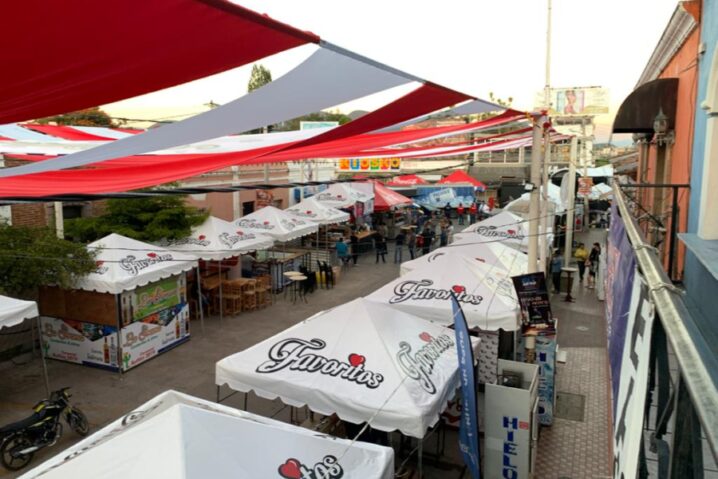 Callejón de la Alegría del Carnaval Autlán 2020 (Foto: Israel Aguilar).