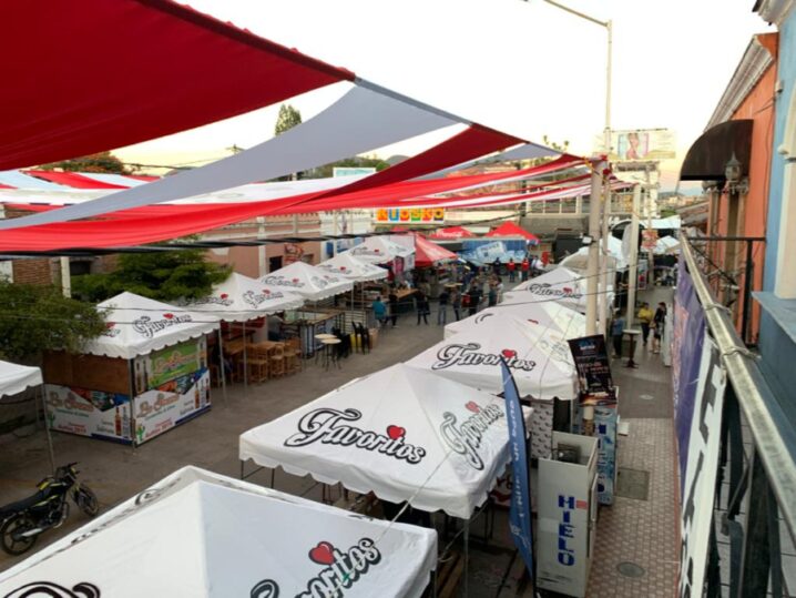 Callejón de la Alegría del Carnaval Autlán 2020 (Foto: Israel Aguilar).
