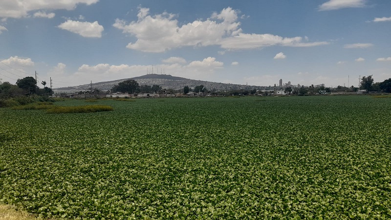 La contaminación del Río Santiago no se queda en El Salto y Juanacatlán, llega Guadalajara a través de escurrimientos.